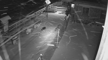 SkiAreál - Horský hotel...