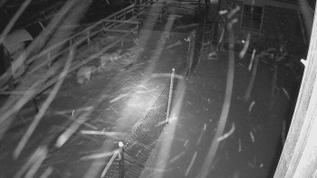 SkiAreál - Horský hotel...