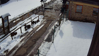 SkiAreál - Horský hotel...