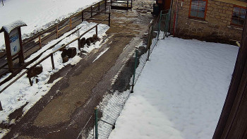 SkiAreál - Horský hotel...