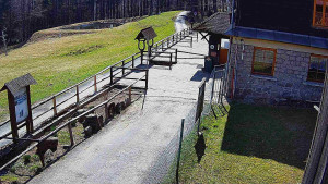 SkiAreál - Horský hotel Vsacký Cáb - Terasa horského hotelu - 8.4.2026 v 13:45