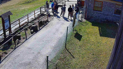 Terasa horského hotelu