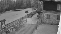 Terasa horského hotelu