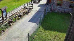 Terasa horského hotelu