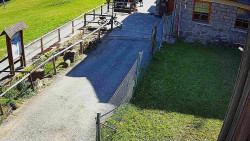 Terasa horského hotelu