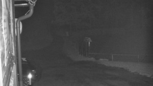 SkiAreál - Horský hotel Vsacký Cáb - Terasa horského hotelu - 17.6.2026 v 02:45