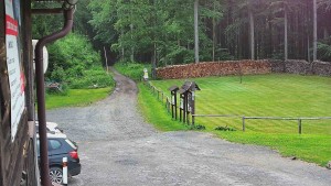 SkiAreál - Horský hotel Vsacký Cáb - Terasa horského hotelu - 17.6.2026 v 04:45