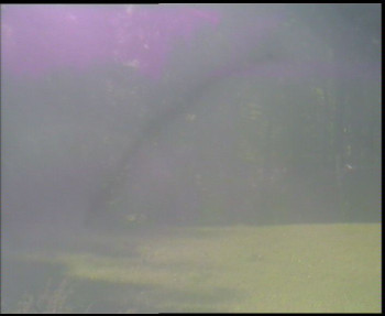Snímek    11.5.2025 v 08:45