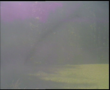 Snímek    12.5.2025 v 08:30