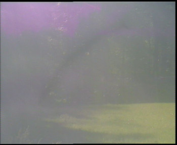 Snímek    13.5.2025 v 08:30