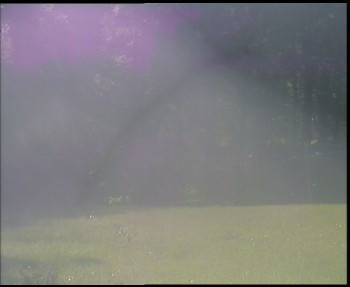 Snímek    13.5.2025 v 09:15