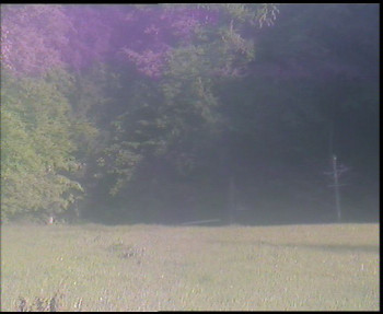 Snímek    13.5.2025 v 17:30