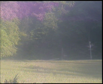 Snímek    13.5.2025 v 17:45