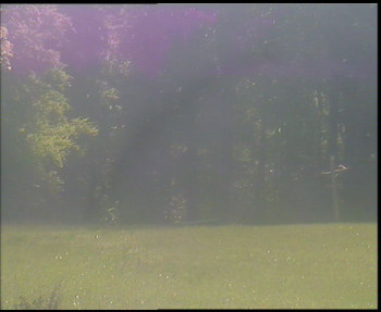 Snímek    14.5.2025 v 11:30