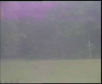 Snímek    15.5.2025 v 09:15