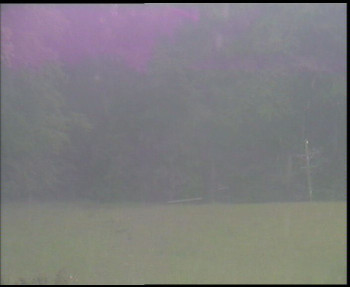 Snímek    15.5.2025 v 09:30