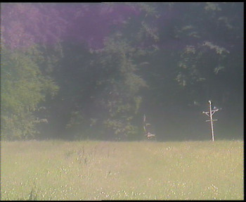 Snímek    15.6.2025 v 15:15