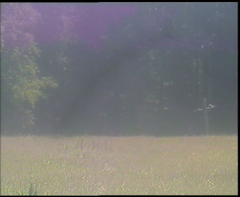 Snímek    22.6.2025 v 12:15