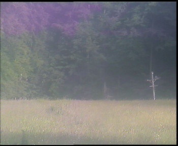 Snímek    23.6.2025 v 18:15