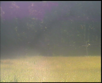 Snímek    1.7.2025 v 09:45
