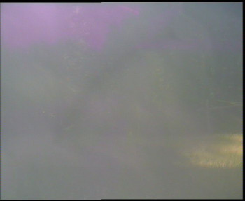 Snímek    3.7.2025 v 08:00