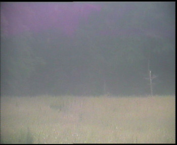 Snímek    4.7.2025 v 06:30