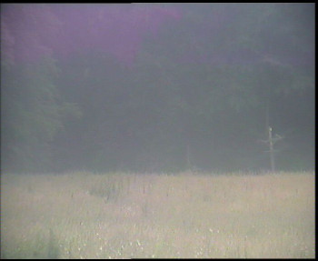 Snímek    4.7.2025 v 06:45