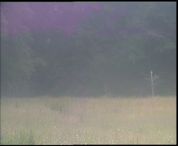 Snímek    4.7.2025 v 08:30