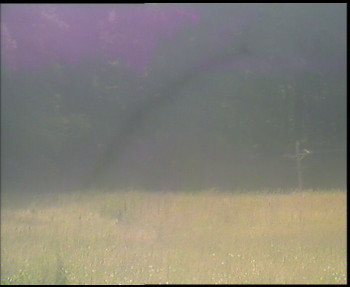 Snímek    4.7.2025 v 09:45