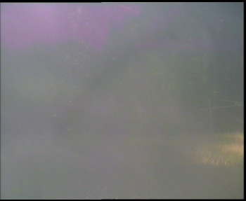 Snímek    5.7.2025 v 08:00