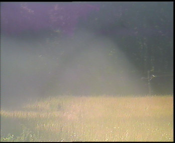 Snímek    5.7.2025 v 09:15