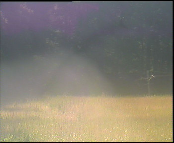 Snímek    5.7.2025 v 09:30