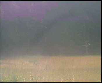 Snímek    6.7.2025 v 09:45