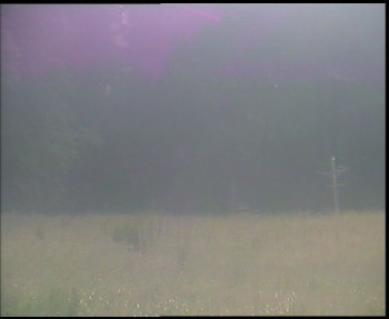 Snímek    7.7.2025 v 08:30