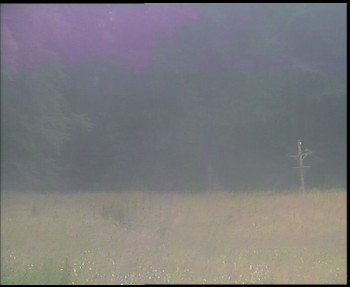 Snímek    7.7.2025 v 15:45