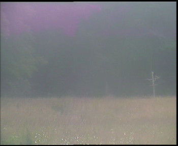 Snímek    12.7.2025 v 07:00