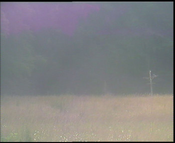 Snímek    12.7.2025 v 08:15
