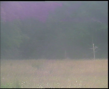 Snímek    12.7.2025 v 08:45