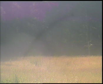Snímek    12.7.2025 v 09:45