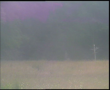 Snímek    12.7.2025 v 13:30