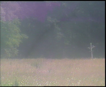 Snímek    12.7.2025 v 14:00