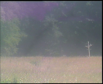 Snímek    12.7.2025 v 14:45