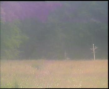 Snímek    12.7.2025 v 15:30