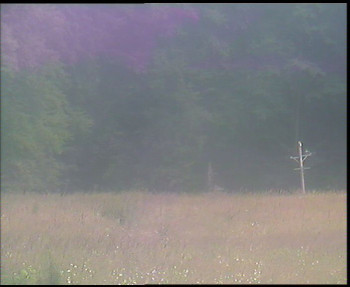 Snímek    12.7.2025 v 16:00