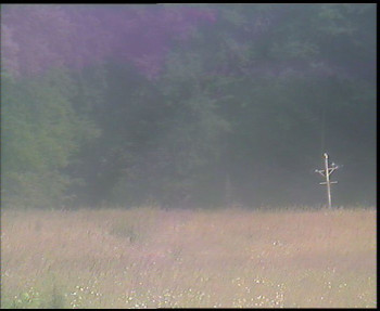 Snímek    12.7.2025 v 16:30