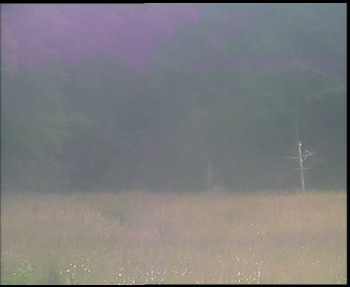 Snímek    12.7.2025 v 16:45