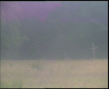 Snímek    12.7.2025 v 17:45
