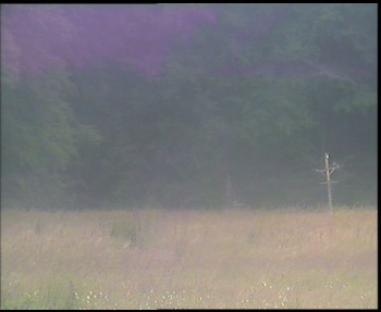 Snímek    12.7.2025 v 18:30