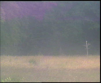 Snímek    12.7.2025 v 18:45