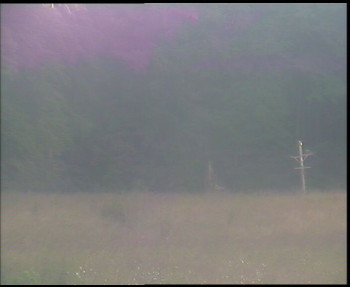 Snímek    12.7.2025 v 19:45